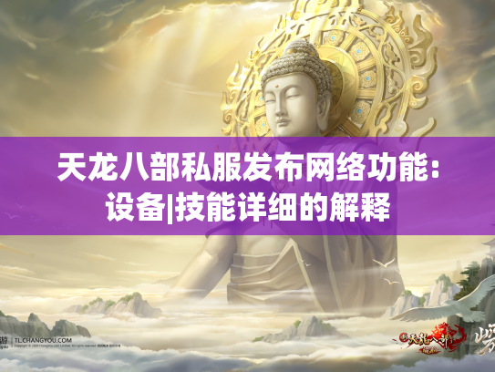 天龙八部私服发布网络功能:设备|技能详细的解释