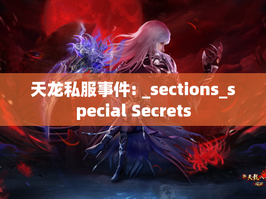 天龙私服事件: _sections_special Secrets